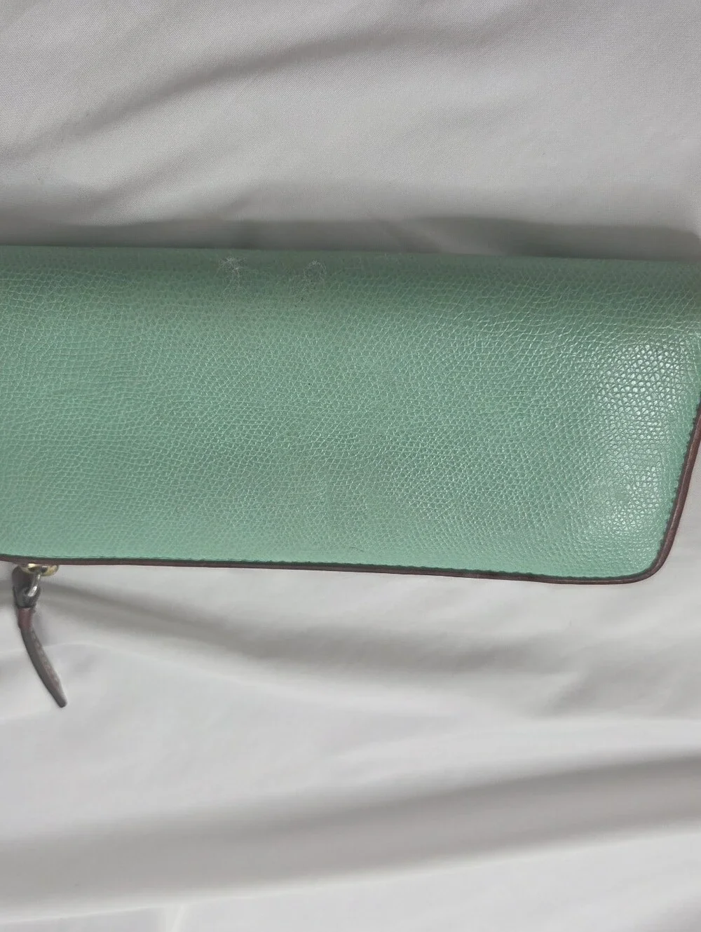 Dooney & Bourke Mint Green Zip-Around Leather Wallet